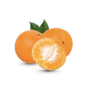 Premium Sargodha Kinnow Oranges – Fresh, Juicy & Export Quality