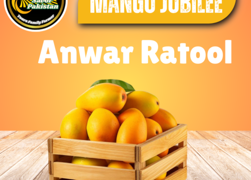 Anwar Ratool Mango