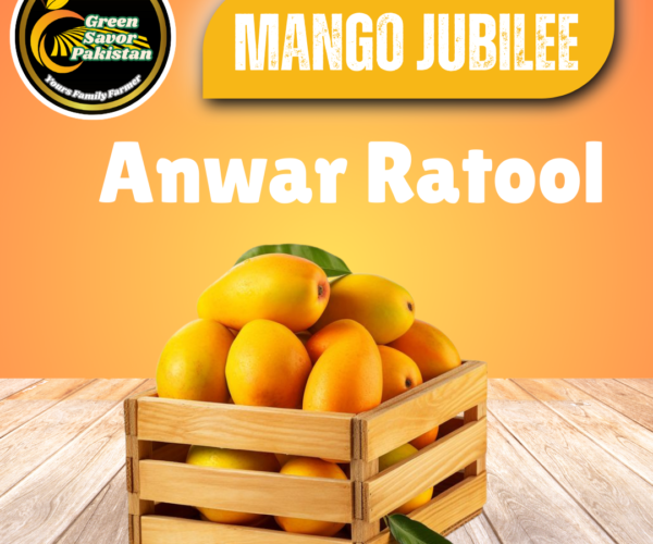 Anwar Ratool Mango Anwar Ratool Mango