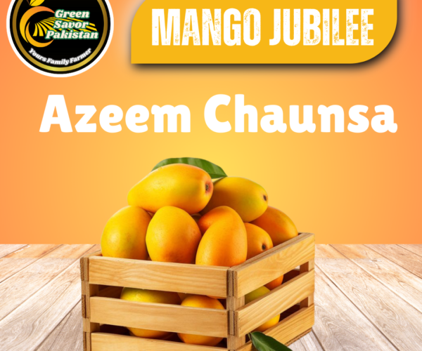 AzeeM Chaunsa AzeeM Chaunsa