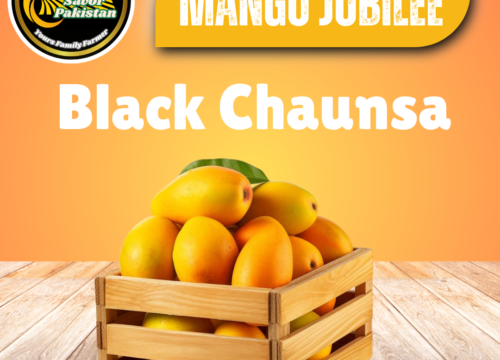Black Chaunsa