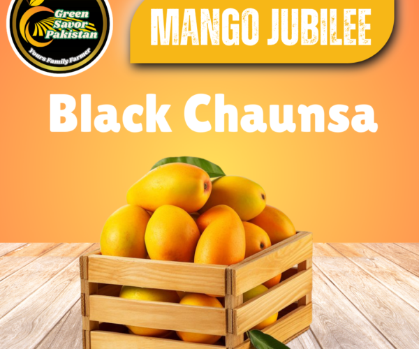 Black Chaunsa Black Chaunsa