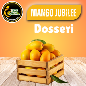Dosseri Mango – The Rich Classic