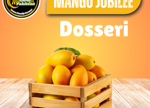 Dosseri Mango