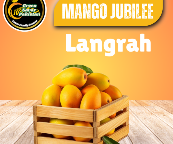 Langra Mango Langra Mango
