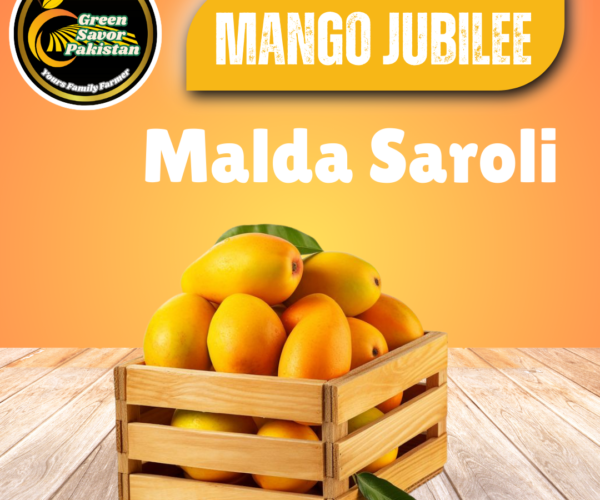 Malda (Sarooli) Mango Malda (Sarooli) Mango
