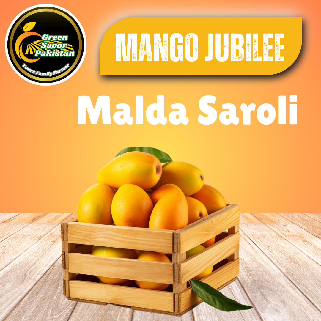 Malda (Sarooli) Mango – The Early Delight