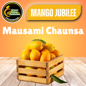 Mausami Chaunsa (Samar Bahisht) – The King of Sweetness