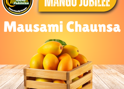 Mausami Chaunsa (Samar Bahisht)