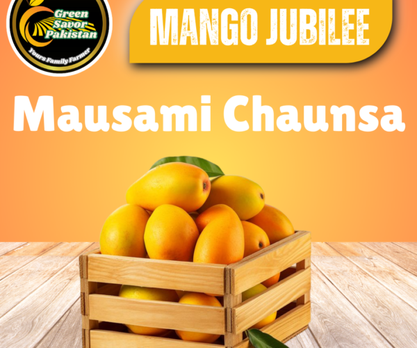 Mausami Chaunsa (Samar Bahisht) Mausami Chaunsa (Samar Bahisht)