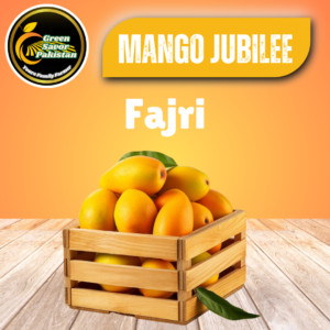 Fajri – The Ultimate Late-Season Juice Mango